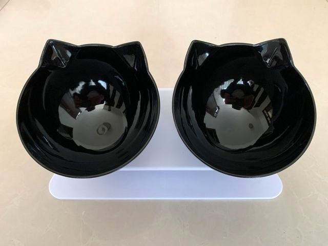 Cat Feeding Bowls